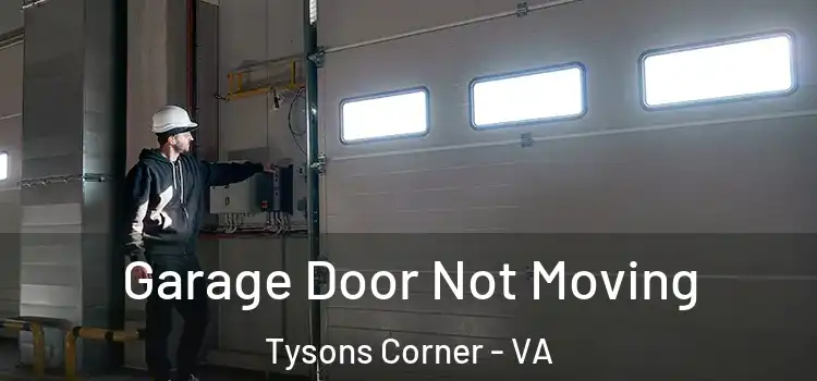  Garage Door Not Moving Tysons Corner - VA