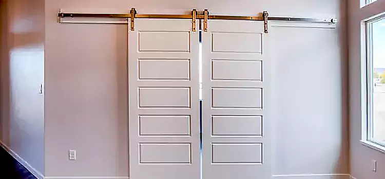 Glass Barn Door with Installation Hardware Kit Tysons Corner