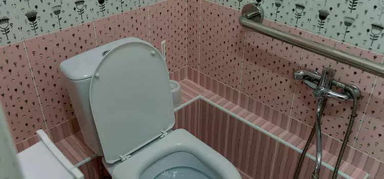 Meeting Diverse Needs With Accessible Restroom Solutions in Tysons Corner, VA