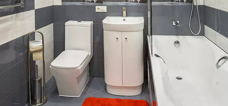 Hansgrohe Shaving Mirror Tysons Corner