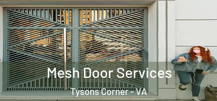  Mesh Door Services Tysons Corner - VA